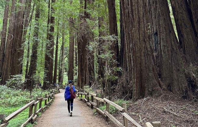 Excursión a Muir Woods y Sausalito - Foto 7