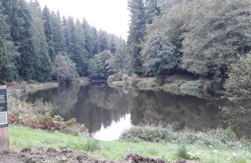 2 The Old School - Photo 33