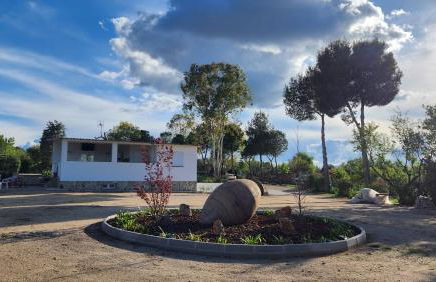 Agroturismo Viña Inés Toledo - Photo 46