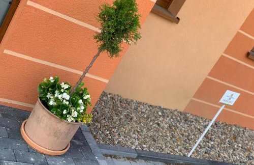 Przy Złotych Piaskach 1 - Foto 24