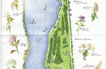 Studio, sur le Chemin des Hortensias - Foto 14