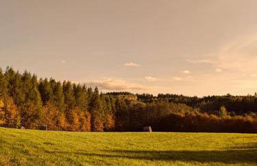 Świerkowe Ranczo Raciszewo - Foto 33