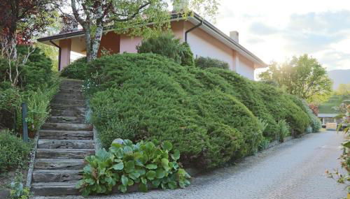 El Campizòl - Foto 5