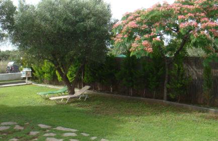 Elia by the sea - Photo 30