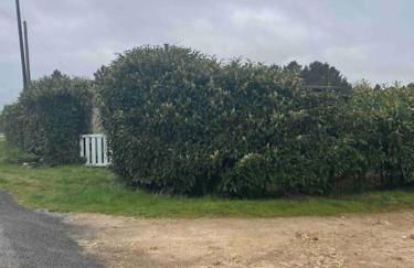Studio proche Beauval et Châteaux de la Loire - Foto 26