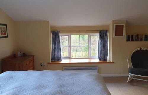 Yr Hen Efail Cosy 1 bedroom Cottage, with fireplace and garden - Foto 10