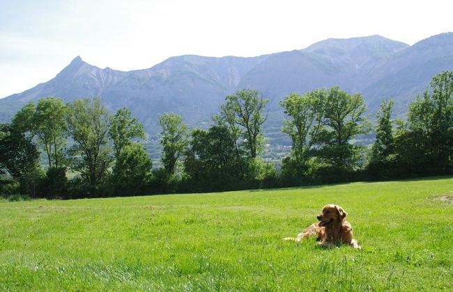 VVF Les Ecrins Champsaur, Saint Bonnet en Champsaur - Foto 36