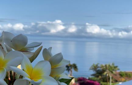 Apartamento Renovado "Hogar Las Vistas" - Foto 31