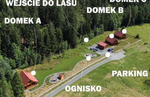 Okno na las - Foto 20