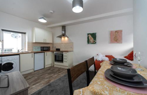 Contractor Room - Kitchen - Central Spot - Foto 29