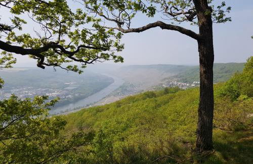 Apartment an der Mosel 1 - Foto 32