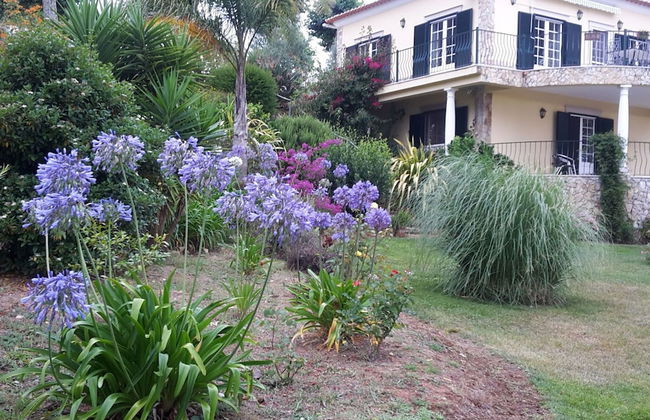 Cozy Villa near Óbidos with Private Swimming Pool - Foto 25