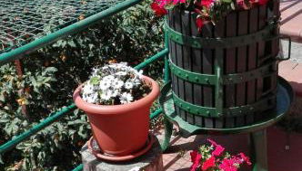 Casa Ofelia - Foto 4