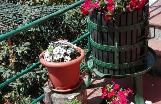 Casa Ofelia - Foto 4