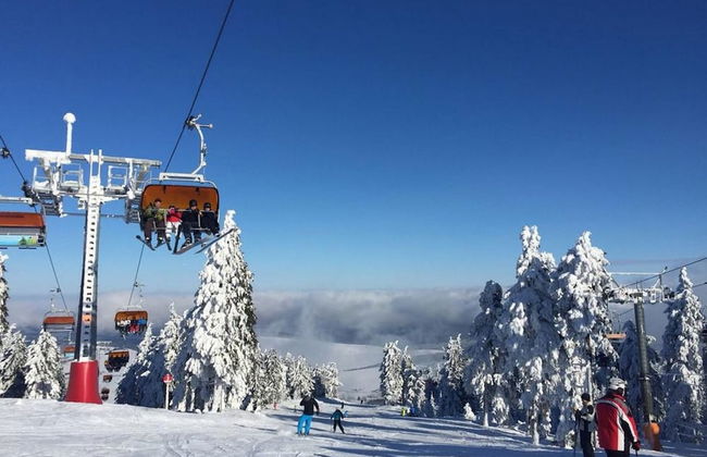 Holiday Home Abertamy - Foto 6