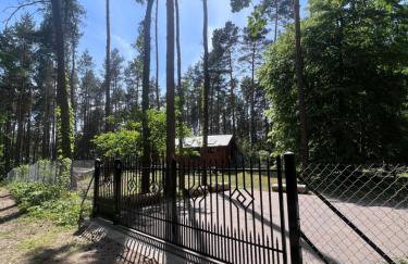 Urocza chatka w lesie nad wodą - Foto 21