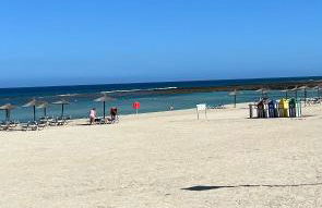 Honey Bunch - Photo 22