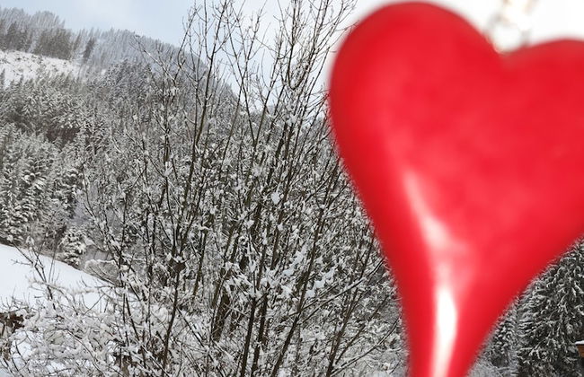 Kitzbühel Apartments Haus Brugger - Foto 58