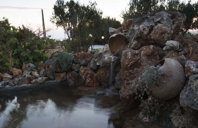 Elia Stavros Villas - Foto 36