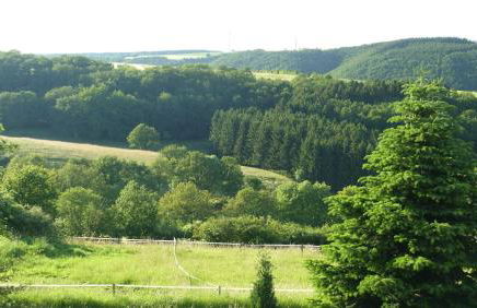 Ferienwohnung Geschwind - Foto 9