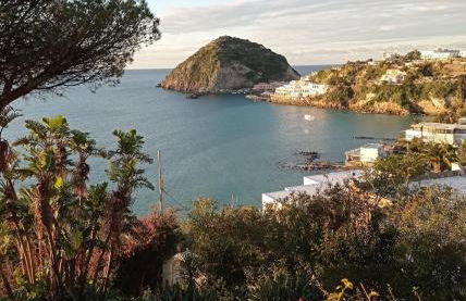 MARE NOSTRUM - BeachFront House - Sant'Angelo Ischia - Foto 21