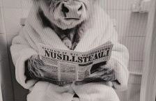 Ben Lomond Cottage - Loch Lomond and Arrochar Alps - Foto 24