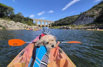 La Soleillade Laudun - Foto 39