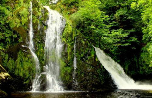 Prime location for Snowdon, Family and Dog friendly! - Photo 16