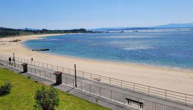 Palmeira - Foto 2, Garden