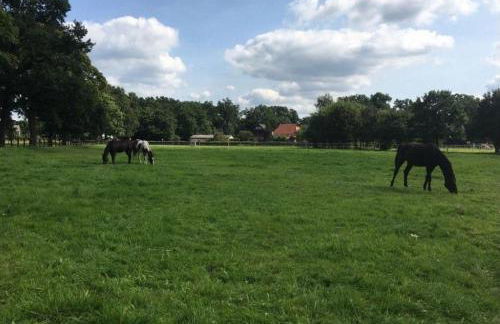 Ferienglück Lindwedel - Photo 14