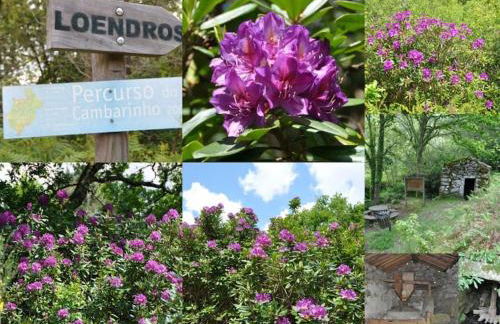 Casa Quelha da Presa - Foto 49