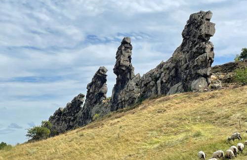 Waldloft - Okertal Goslar Harz - Photo 26