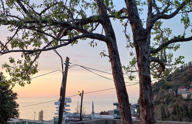 Sarp bungalov - Photo 9