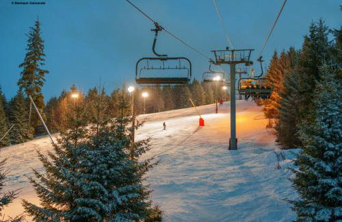 Le Grand Petit Prince - Domaine de Charme - Jacuzzis privatifs - Foto 72