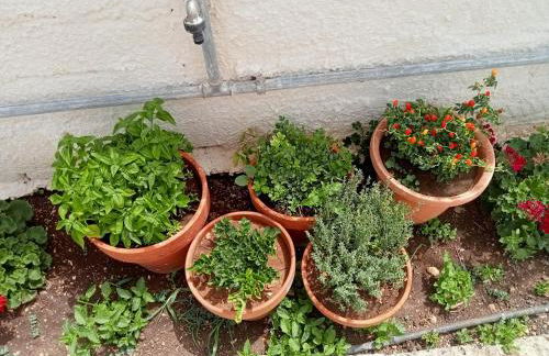 Dependance Sabrina - Foto 25