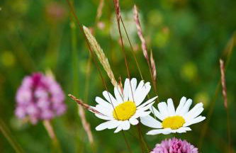 Apartamentos Fonda Finet - Foto 67