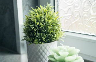 The Bowhouse - Foto 16