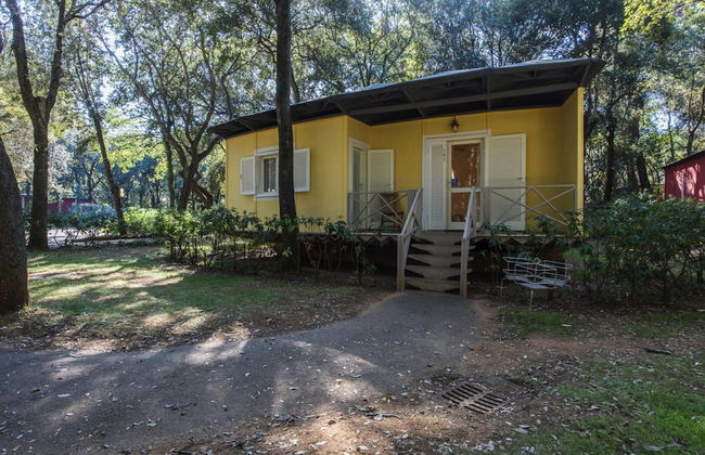 Bungalow in San Vincenzo With Pool - Foto 28