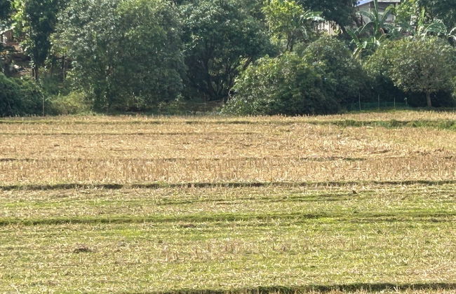 Scarlett Resorts at Laganas - Foto 25