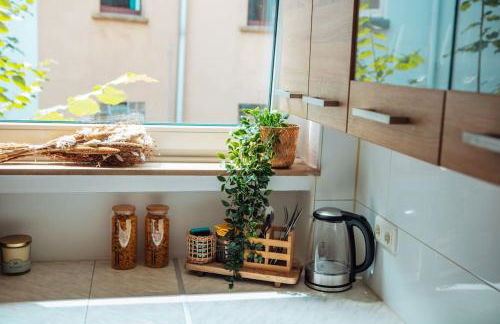 Central-Living brown - Wifi - Netflix - 5 Pers - Foto 9