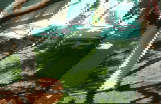 Villa George - Foto 52