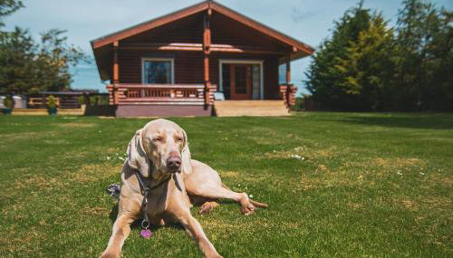 Strathisla - Luxury Two Bedroom Log Cabin with Private Hot Tub & Sauna - Foto 3, Garden