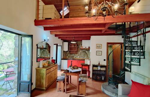 Moinhos do Poço Verde - Foto 66