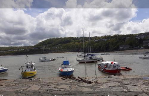 Newquay Haven caravan 42x14 with Ocean Views - Foto 72