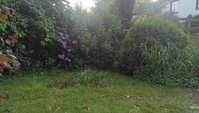 Lilli Flensburg Fewo - Foto 3, Garden