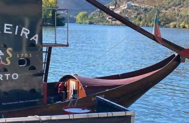 Casa do Vale - DOURO - Photo 29