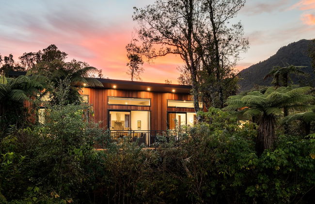 Rainforest Deluxe - Photo 24