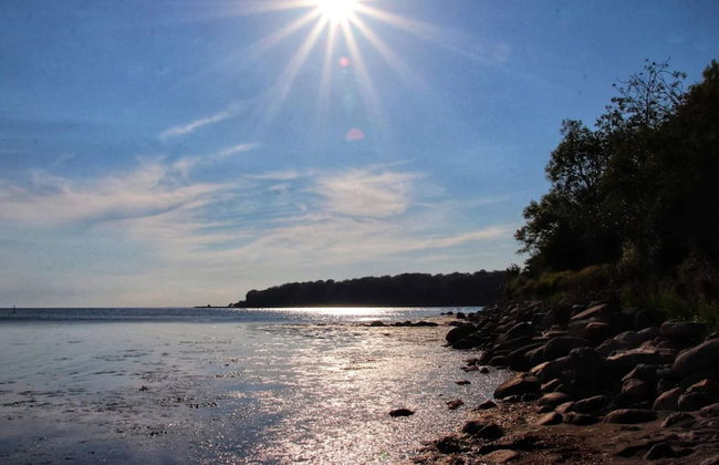 4 Star Holiday Home in Nysted - Foto 52