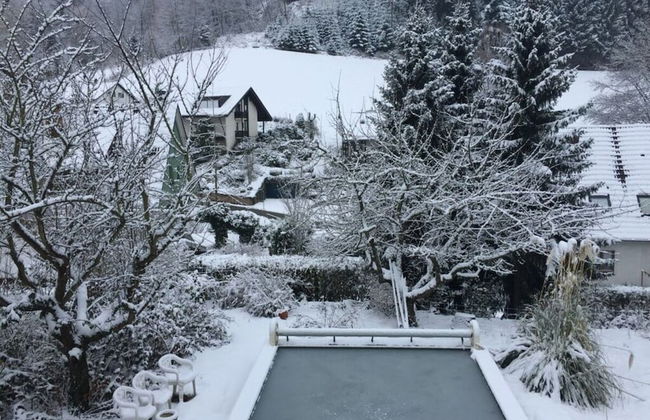 Uitzicht op het Zwembad - Foto 22