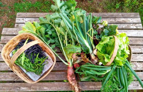 Agroturismo Mari Cruz - Foto 60